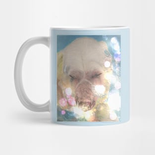 Polar Bear Mug